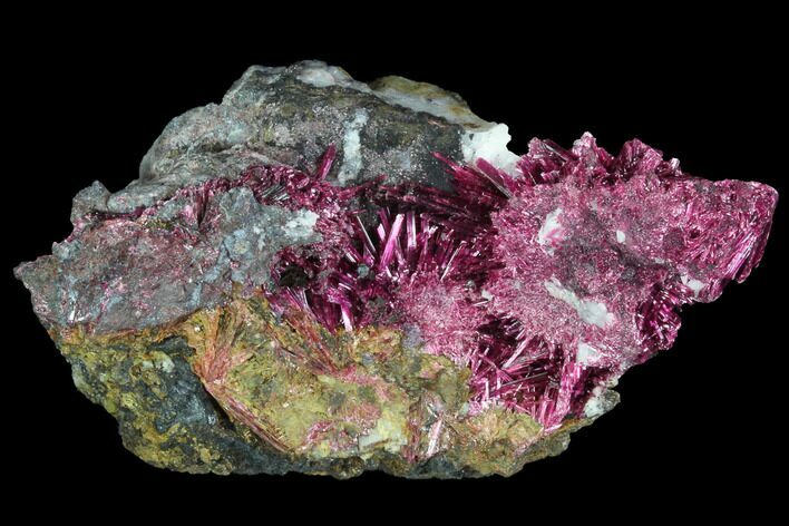 Vibrant, Magenta Erythrite Crystals - Morocco #93598